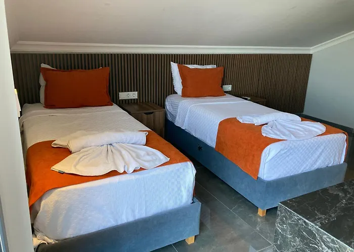 فيلة Tasar 1 Cedit